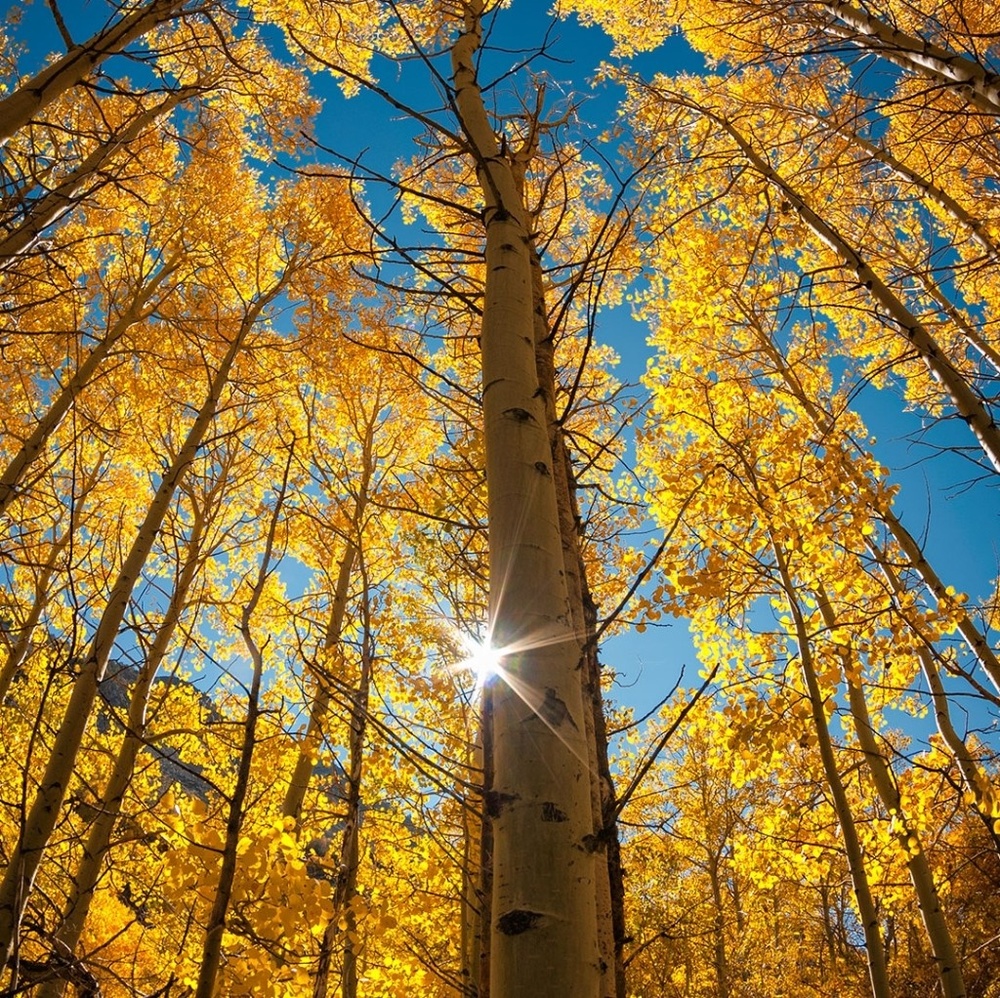 Meet your Posher, Elaine